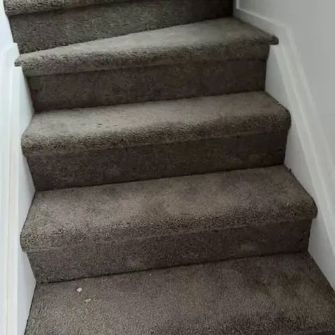 Carpeted stairway with fresh paintwork